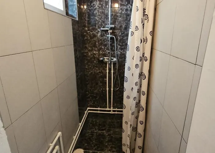 Mila Vikendica Soko Banja